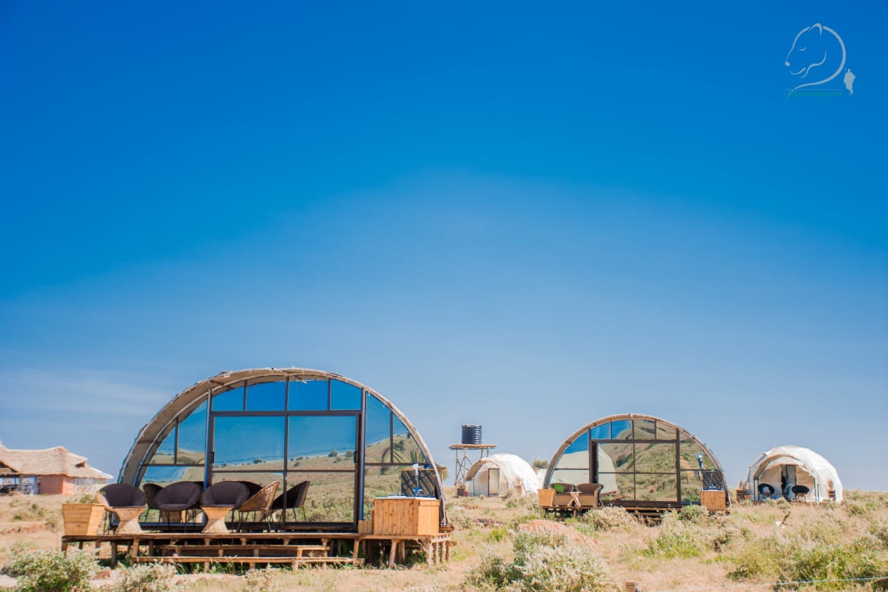 Little Amanya Camp image 3